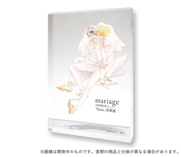 新素材新作 中村明日美子 Mariage展 同級生シリーズ キスカード 